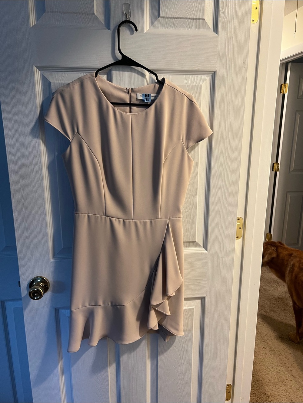 Amanda Uprichard Blush Beige Ruffle Mini Dress
